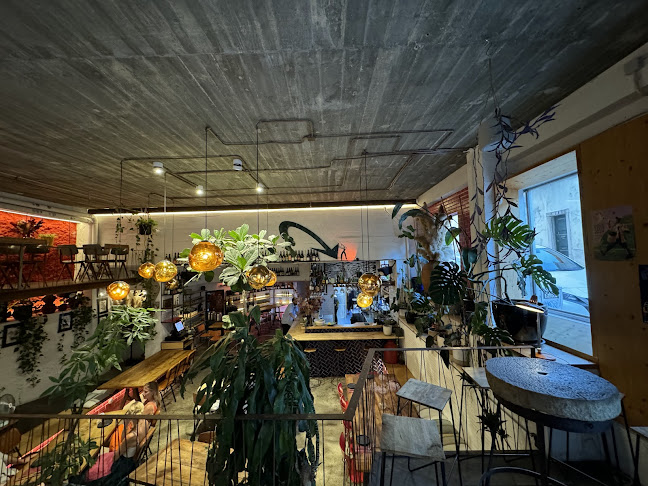 Comentarii opinii despre Flores da Pampa