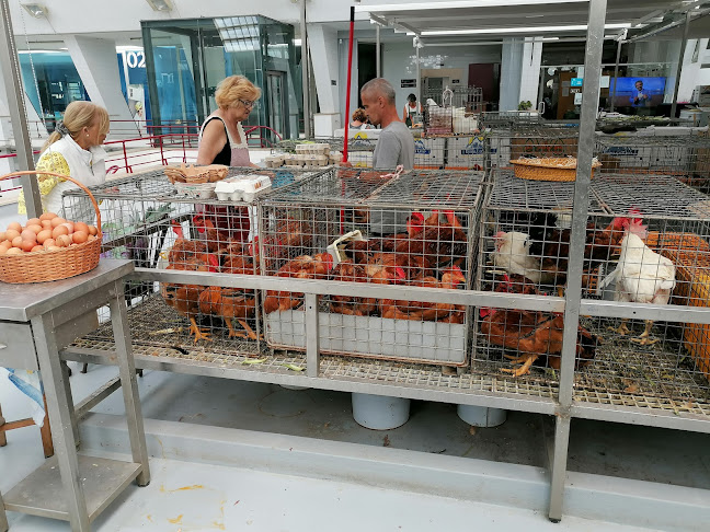 R. França Júnior, 4450-135 Matosinhos