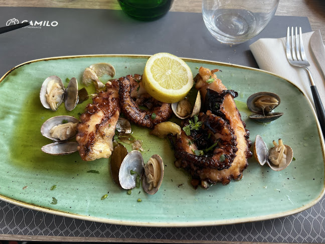 Comentarii opinii despre O Camilo