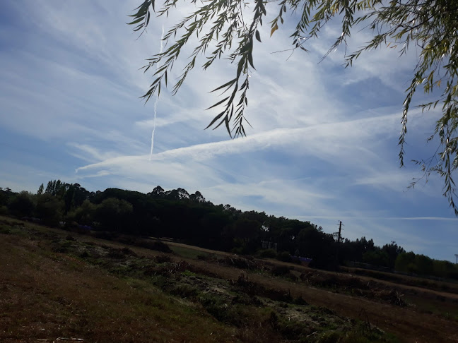 Opinii despre Café Rio în Cantanhede - Gastronomia e hotelaria