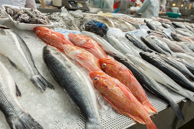 R. França Júnior, 4450-135 Matosinhos