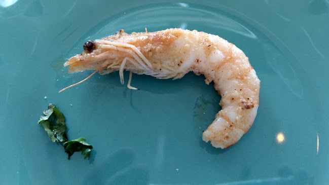 Restaurante Intrigo - Porto