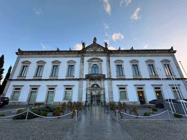 Viriato - Gastronomia e hotelaria