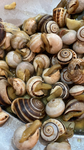 Grelha Fina - Gastronomia e hotelaria