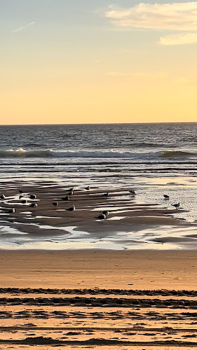 O Praia do Rei - Gastronomia e hotelaria