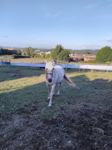 Opinii despre Chill In în Fermentelos - Gastronomia e hotelaria