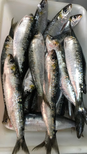 Opinii despre Costa în Portimão - Gastronomia e hotelaria