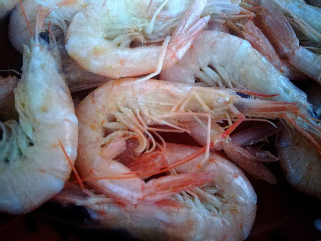 Opinii despre Mercearia do Fanqueiro by Vítor Palmilha în Loures - Gastronomia e hotelaria