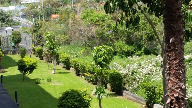 Opinii despre Cafe Crós în Funchal - Gastronomia e hotelaria