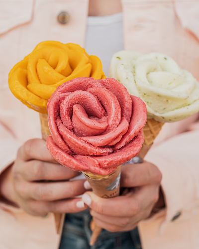 Amorino Gelato - Porto Norteshopping - Sra. da Hora