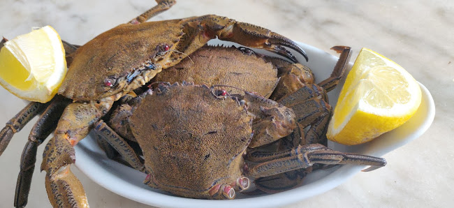 Restaurante O Bárbaro