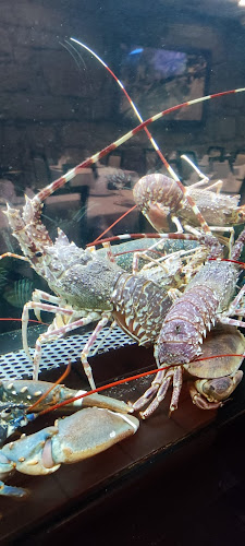 R. Heróis de França 241, 4450-158 Matosinhos