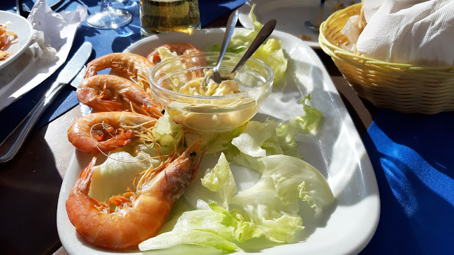 A Vela / Associação Regional de Vela do Centro