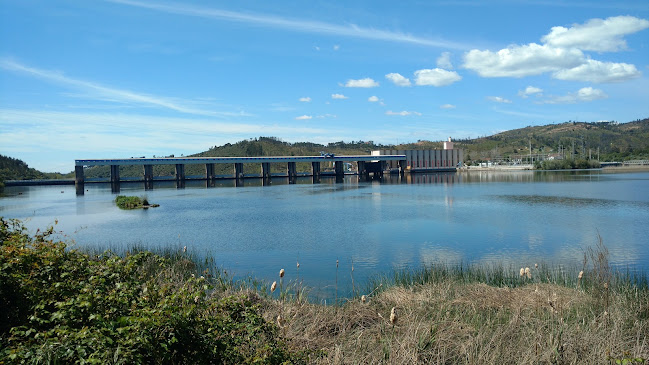 Comentarii opinii despre Farias