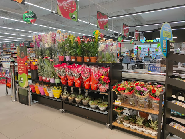 Pingo Doce - Lordelo - Vila Real