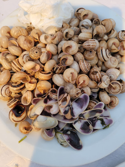 Ateneu Mourense - Moura