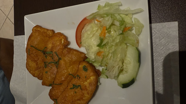 Comentarii opinii despre Indian Night's