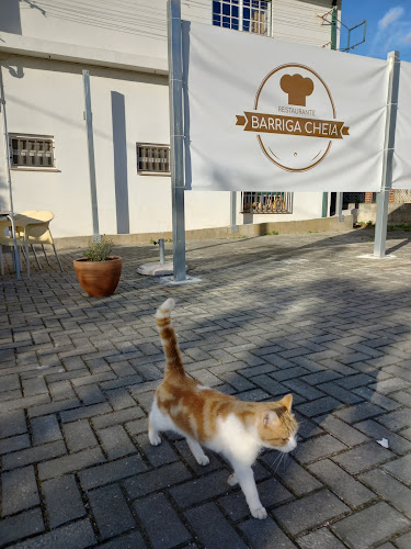 Comments and reviews of Restaurante Barriga Cheia- Carvalhais de Baixo