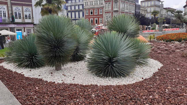 Opinii despre McDonald's - Braga Centro în Braga - Gastronomia e hotelaria