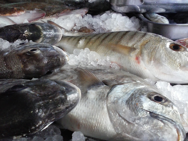 Comentarii opinii despre O Jorge do Peixe