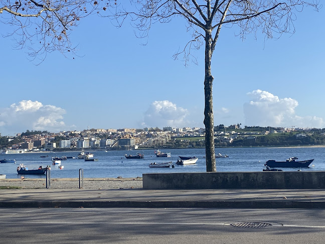 Casa de Pasto da Palmeira - Gastronomia e hotelaria