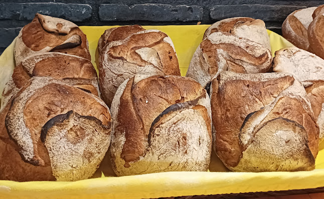 Zona Industrial de Tortosendo, 6200-823 Tortosendo