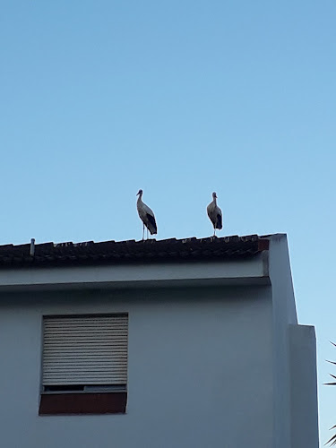 Opinii despre Pastelaria Castelo - Fernando Miguel Gonçalves Sequeira în Silves - Gastronomia e hotelaria