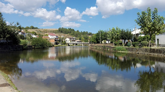 Comentarii opinii despre O Careto