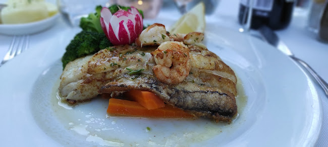 Comentarii opinii despre O Dragoeiro