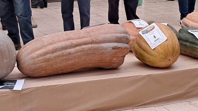 Mercado Municipal Polivalente Osmaro Ferreira - Gastronomia e hotelaria