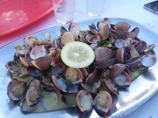 Reviews of Bar do Moinho in Benquerença - Gastronomia e hotelaria