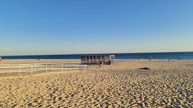 Bar Mar - Gastronomia e hotelaria