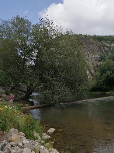 Comentarii opinii despre Barca de Sabores Quinta da Portela