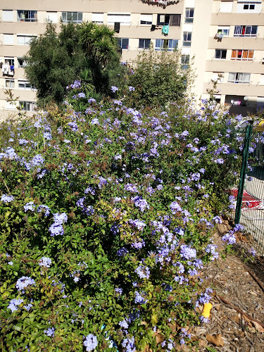 Burger Ranch - Antunes & Sequeira, Lda.