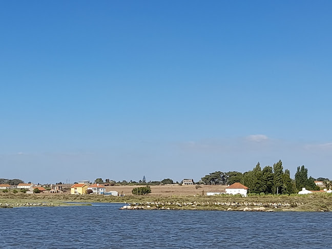 Comentarii opinii despre Freira Bar