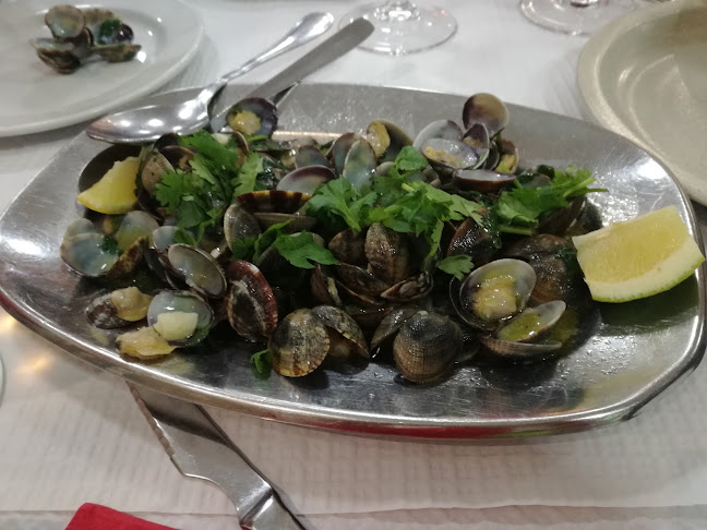 Comentarii opinii despre Ferribote