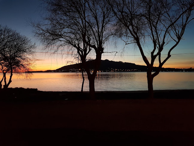 Aqui Há Gato - Gastronomia e hotelaria