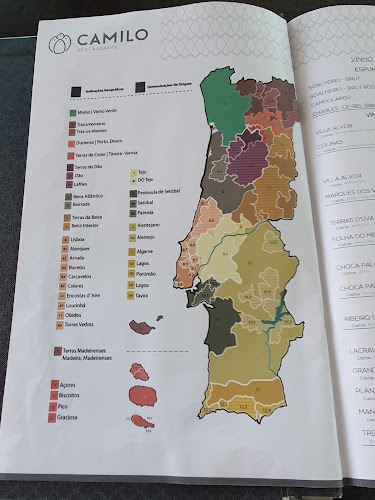 Comentarii opinii despre O Camilo