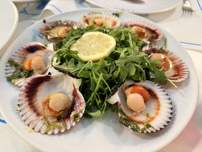 Comentarii opinii despre Baía do Peixe - Praça do Comércio