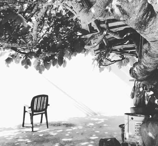 Opinii despre Café E Minimercado Traquino în Portimão - Gastronomia e hotelaria