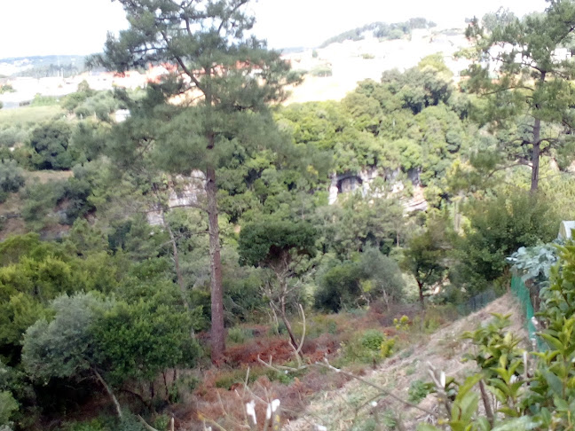 Café Garrafeira - Paisagem do Lapedo