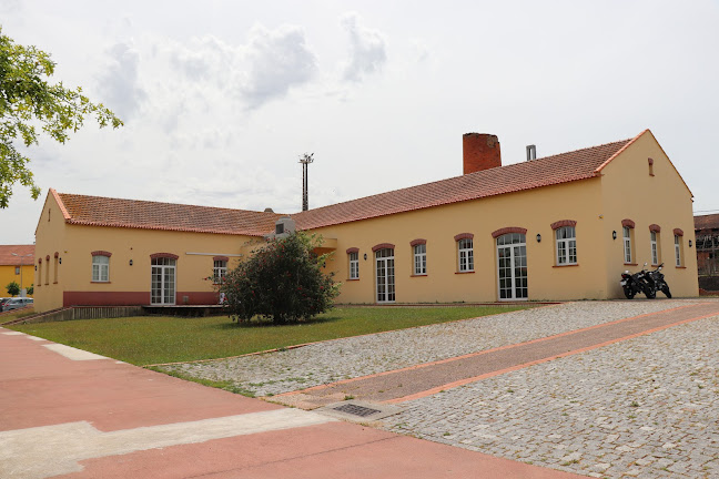 Tv. R. da República, Pampilhosa do Botão