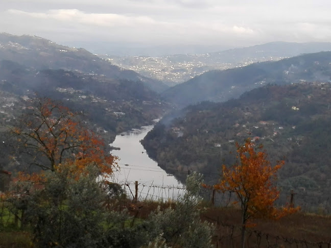 Comentarii opinii despre Café Ribeiro