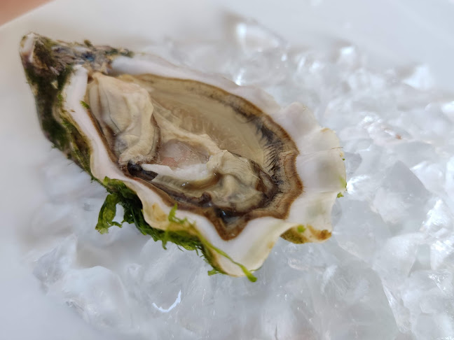 Comentarii opinii despre Távinho