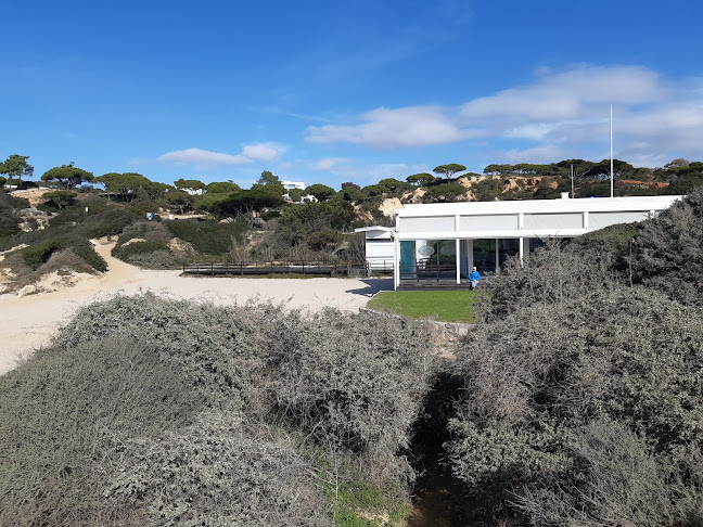 Comentarii opinii despre Evaristo