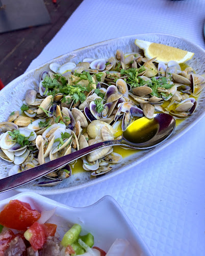 Opinii despre Tapearia e Marisqueira "Bernardos" în Vila Real de Santo António - Gastronomia e hotelaria