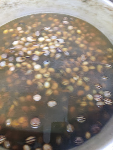 Mini-Mercado Café Tinoco - Gastronomia e hotelaria