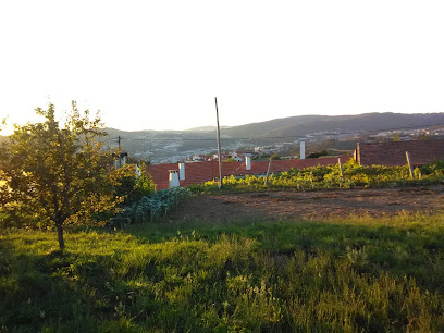 Café Central Cavião