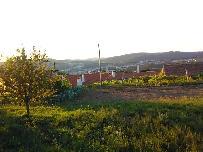 Café Central Cavião