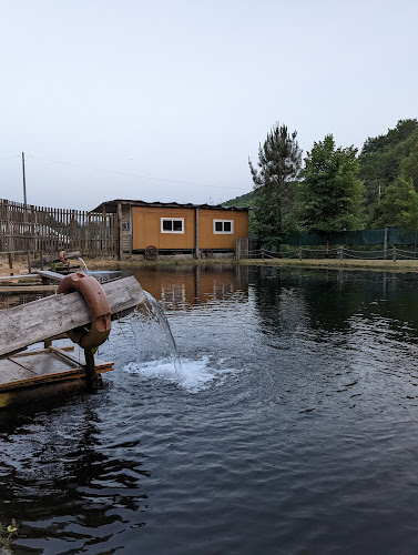 Rua da Estrada Nacional, 1200, 4820-820 Várzea Cova